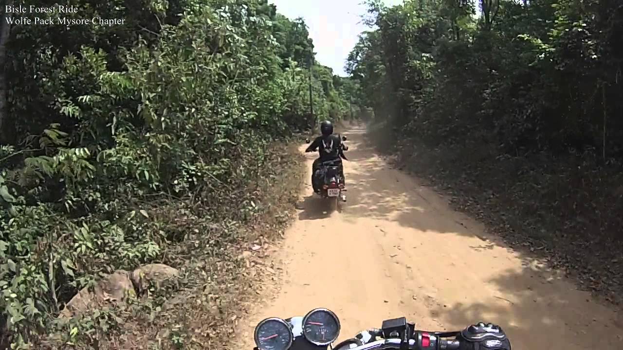 Bisle Forest Ride Part 2/2