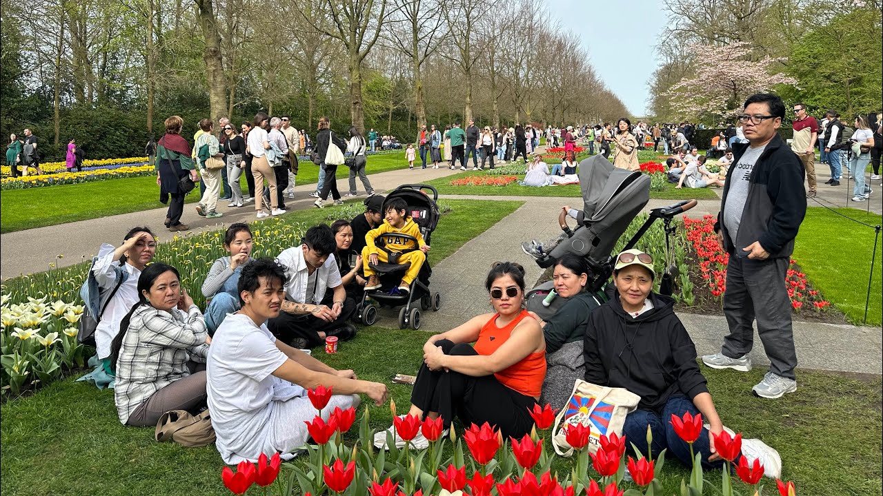 Family get away | my family | my everything | holland #tibetanvlogger #belgium