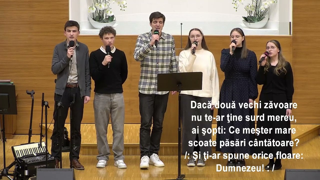Grup de tineri - Dacă două mâini rebele