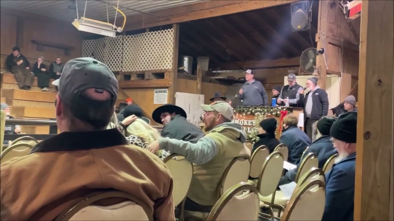 smokey lane stables horse auction