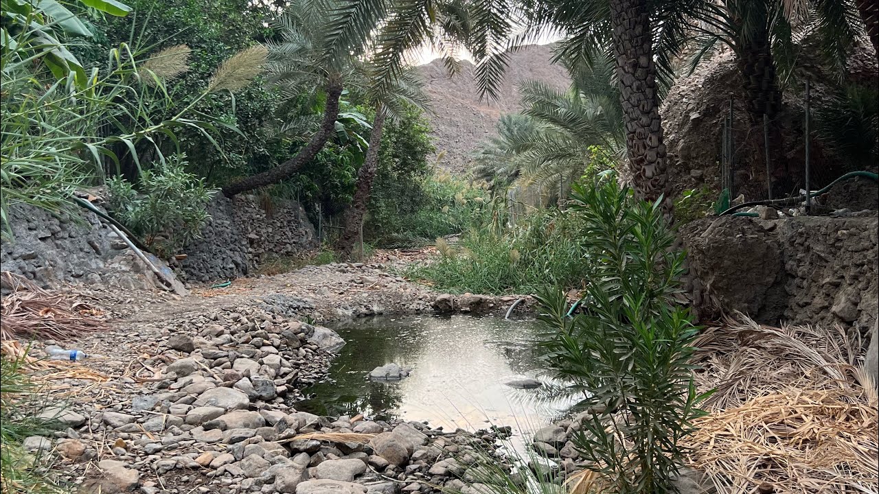 المغامرات | وادي العبادلة | مسار | Adventures | a path| Valley of Abadla