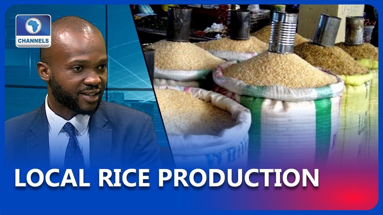 Why Cost Of Rice Will Drop After Christmas - Analyst