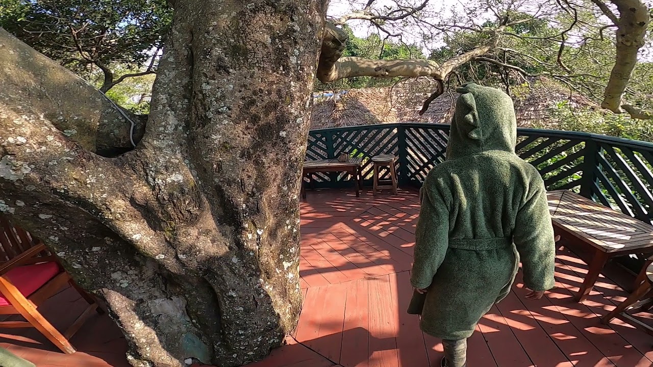 BEST PLACE TO VISIT IN KENYA- FIG TREE CAMP