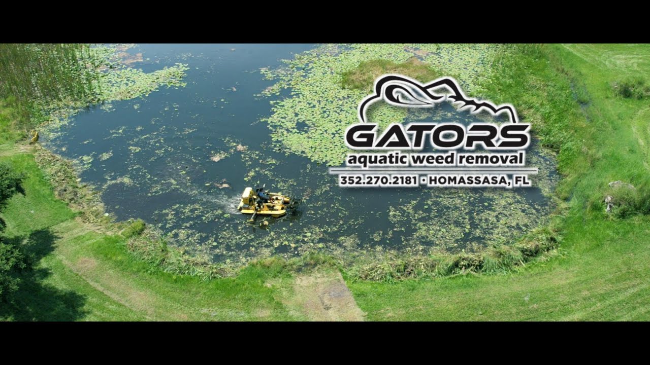 Keep Your Water Clean With Gator's Aquatic Weed Removal Service