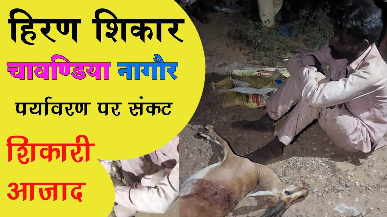चावड़िया गांव में आधी रात को शिकार शिकारी आजाद पर्यावरण प्रेमियों को जेल