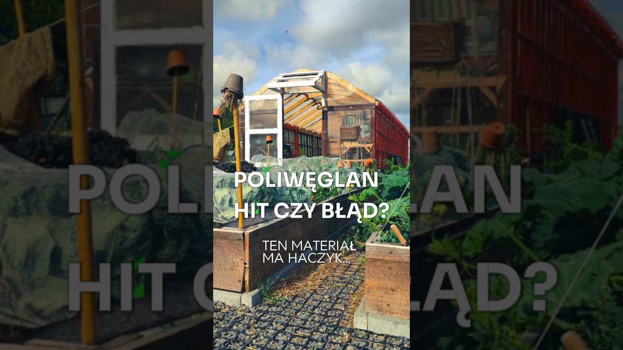 Poliwęglan do szklarni &ndash; HIT czy BŁĄD? 😳 #ogrodnictwo #szklarnia #ogr&oacute;d #gardeningtips