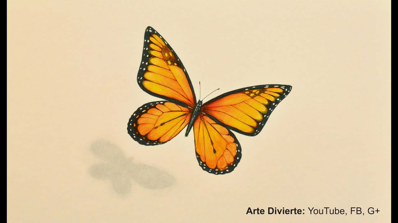 Cómo dibujar una mariposa monarca - Arte Divierte