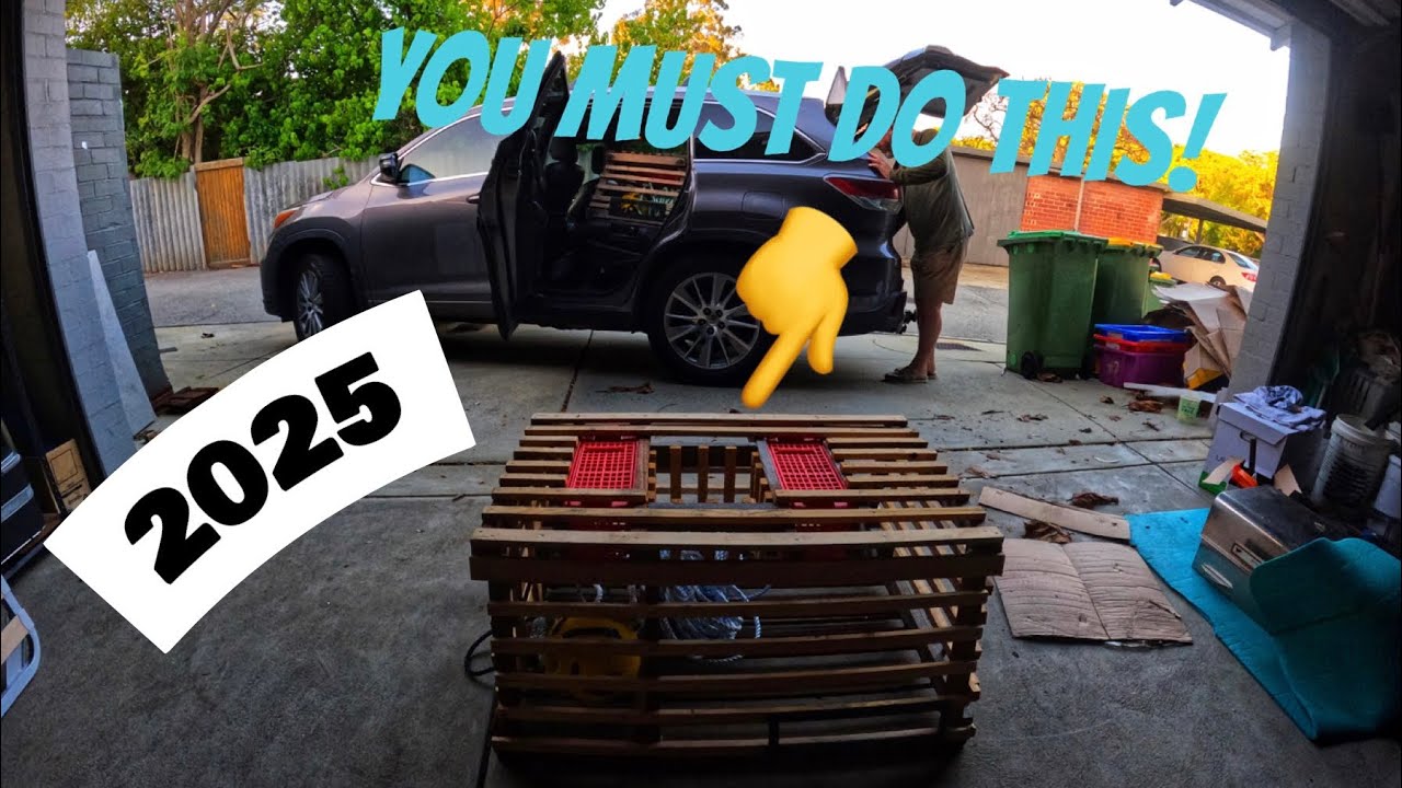 How to Catch Crayfish In 2025 - Crayfishing Perth