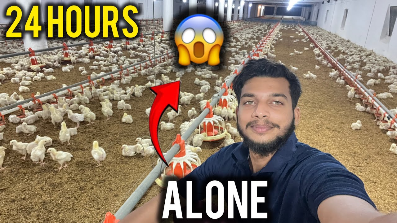 Выживание в контрольном птичнике в течение 24 часов 😱😍 | Полный видеоблог о выращивании бройлеров 🐣