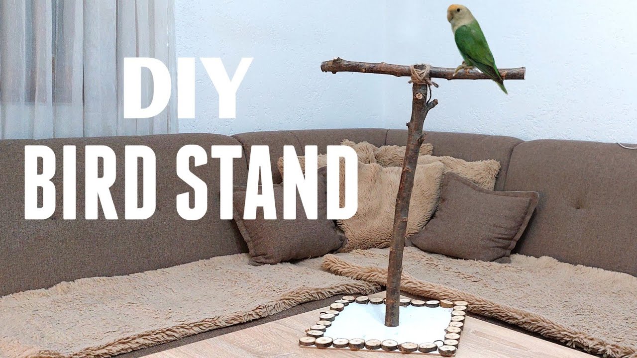How to make a parrot stand | SIMPLE DIY TUTORIAL