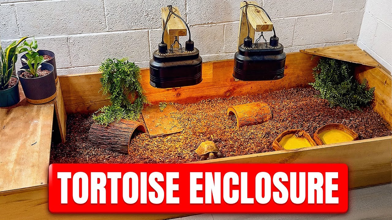 HOMEMADE TORTOISE ENCLOSURE