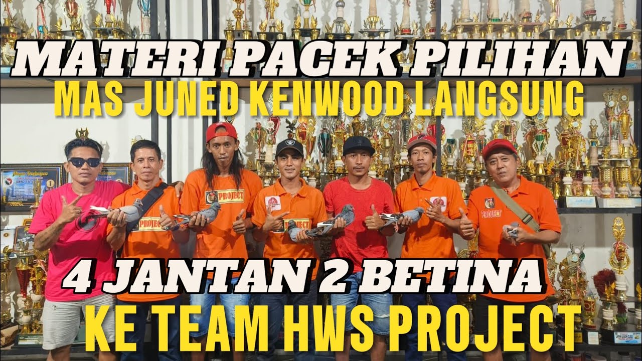 🔴PILIHAN MAS JUNED LANGSUNG JANTAN❗BIMA,THOR,RUDAL,KENDEDES KENWOOD❗