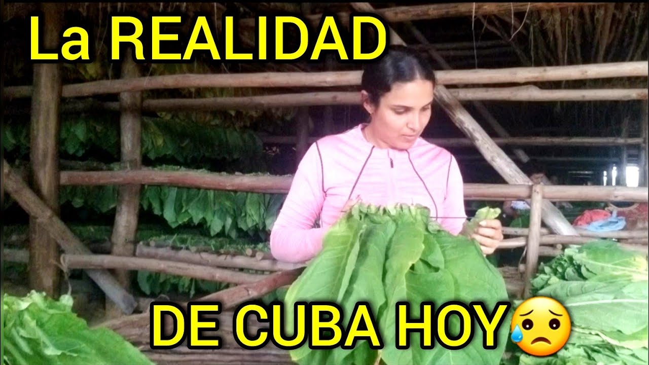 ‼Nuevo TRABAJO en CUBA‼Triste REALIDAD de los cubanos 😥