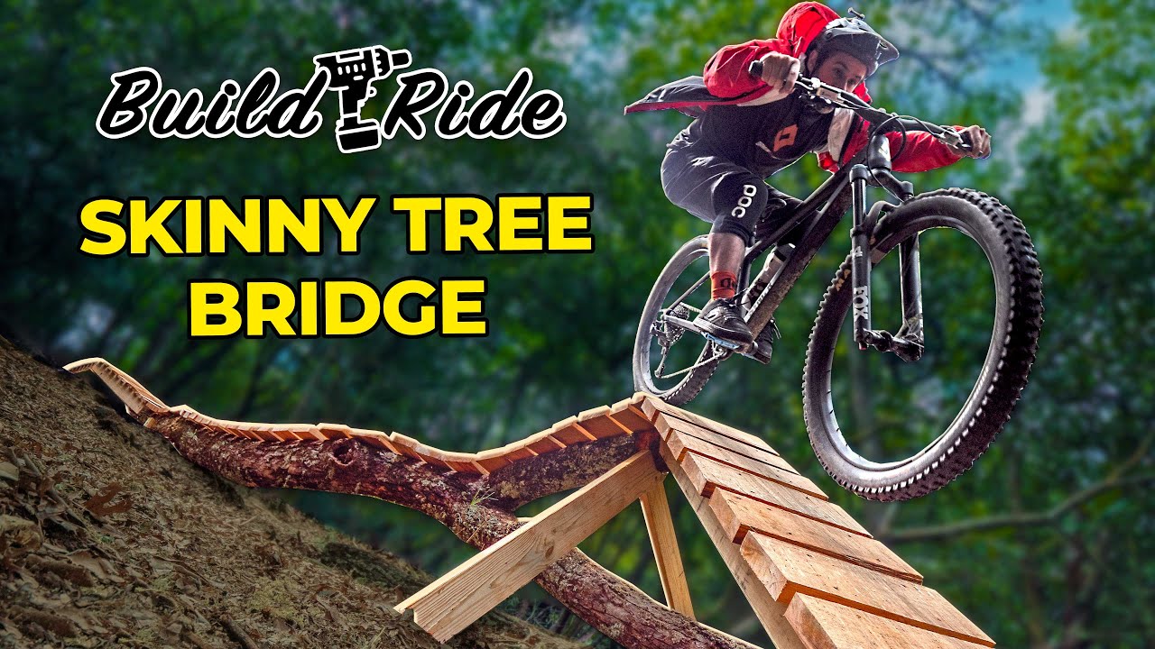 Building a steep skinny bridge on a fallen elm tree