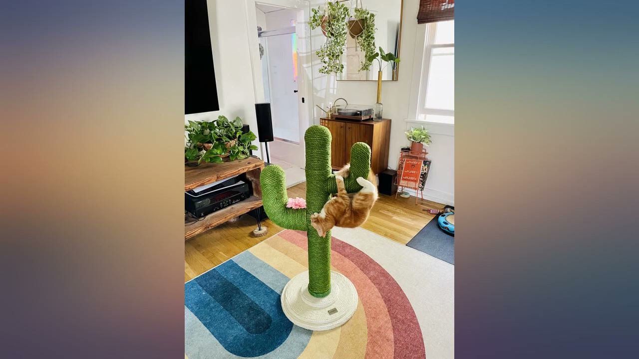 VETRESKA Cactus Cat Scratching Post, Tall Cactus Cat Scratcher with Natural Sisal review