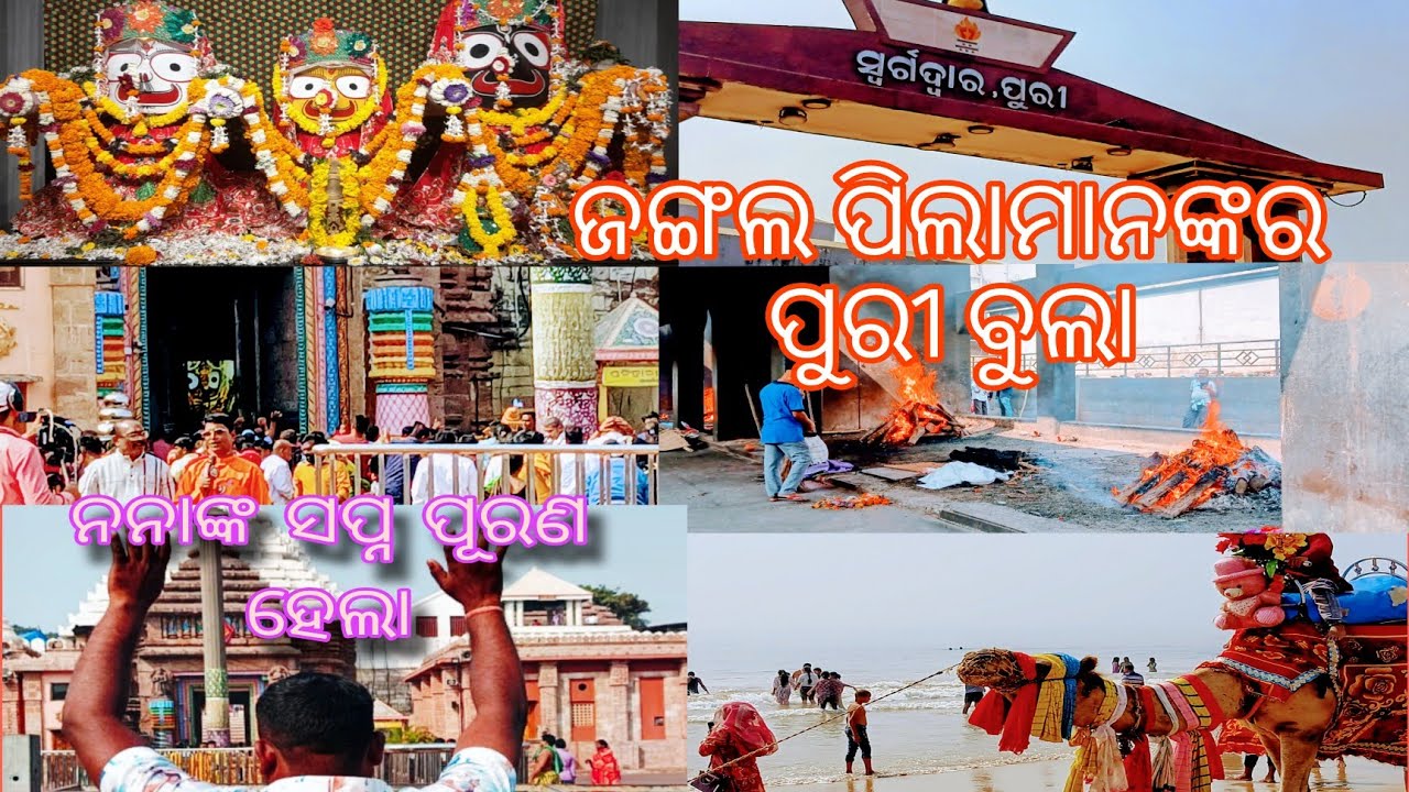 ଜଙ୍ଗଲ ପିଲାମାନଙ୍କର ପୁରୀ ଜଗନ୍ନାଥ ମନ୍ଦିର ବୁଲା||forest watcher vlog ⭕‼️⭕  || jagannath mandhir vlog 