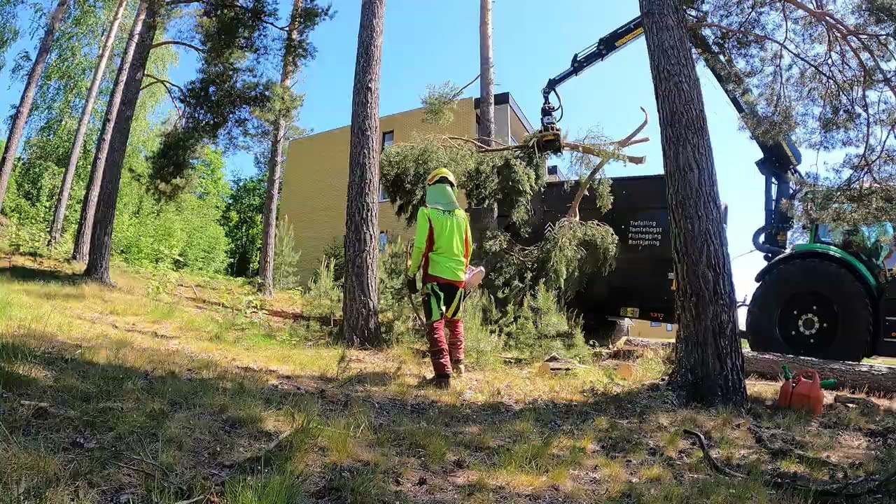 Tree removal with Stihl 400.1, Valtra and Kesla