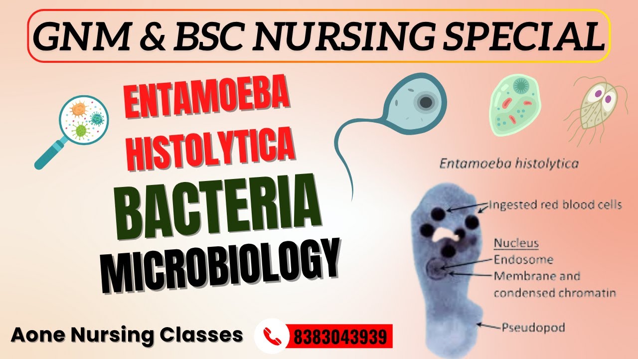 Entamoeba Histolytica | Microbiology |