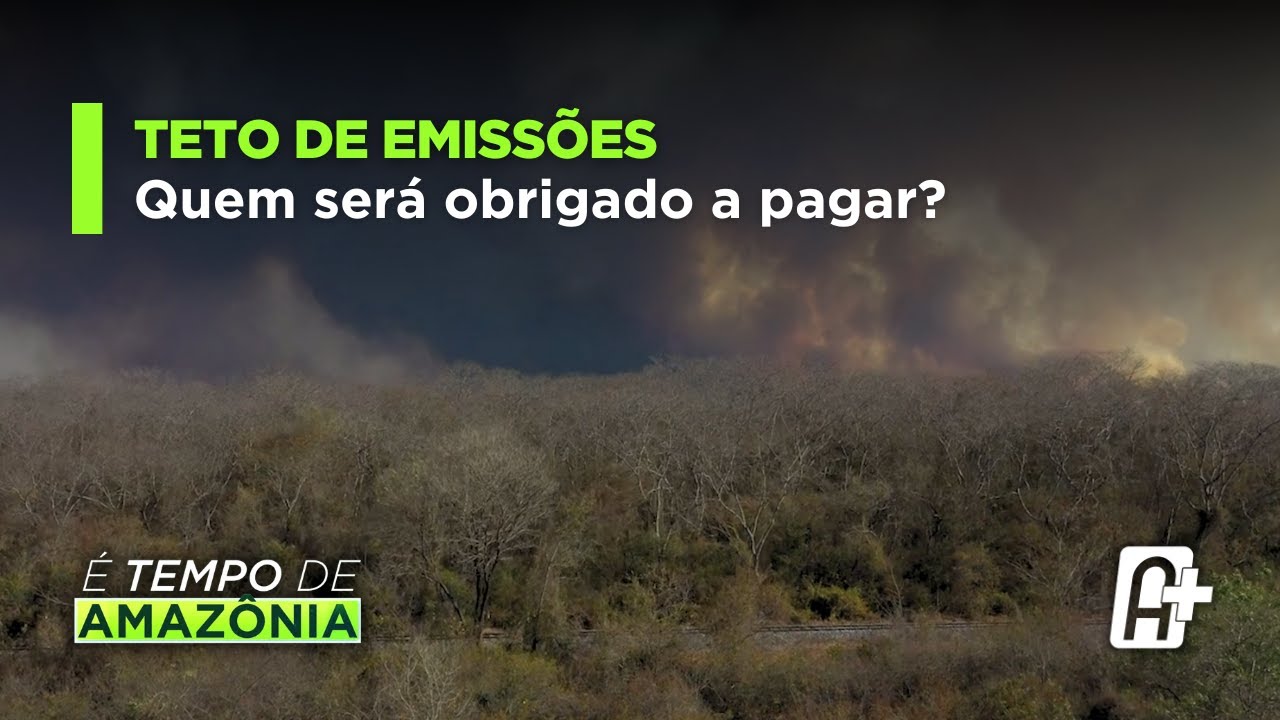 Mercado regulado de carbono: teto de emissões e o SBCE com Natália Renteria | É Tempo de Amazônia