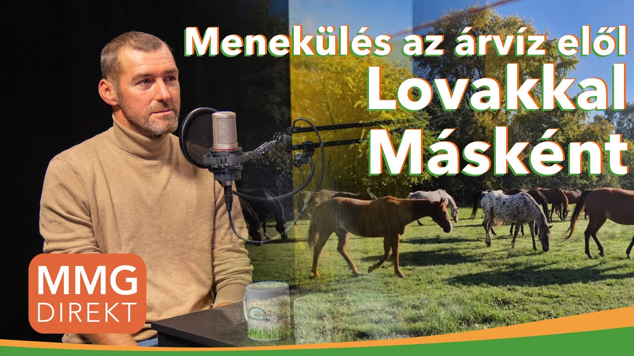 Menek&uuml;l&eacute;s az &aacute;rv&iacute;z elől 