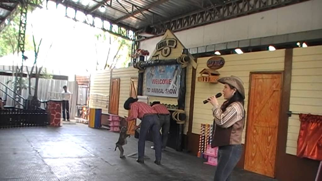 THAILAND,BANGKOK/ DREAMWORLD ANIMALS SHOW