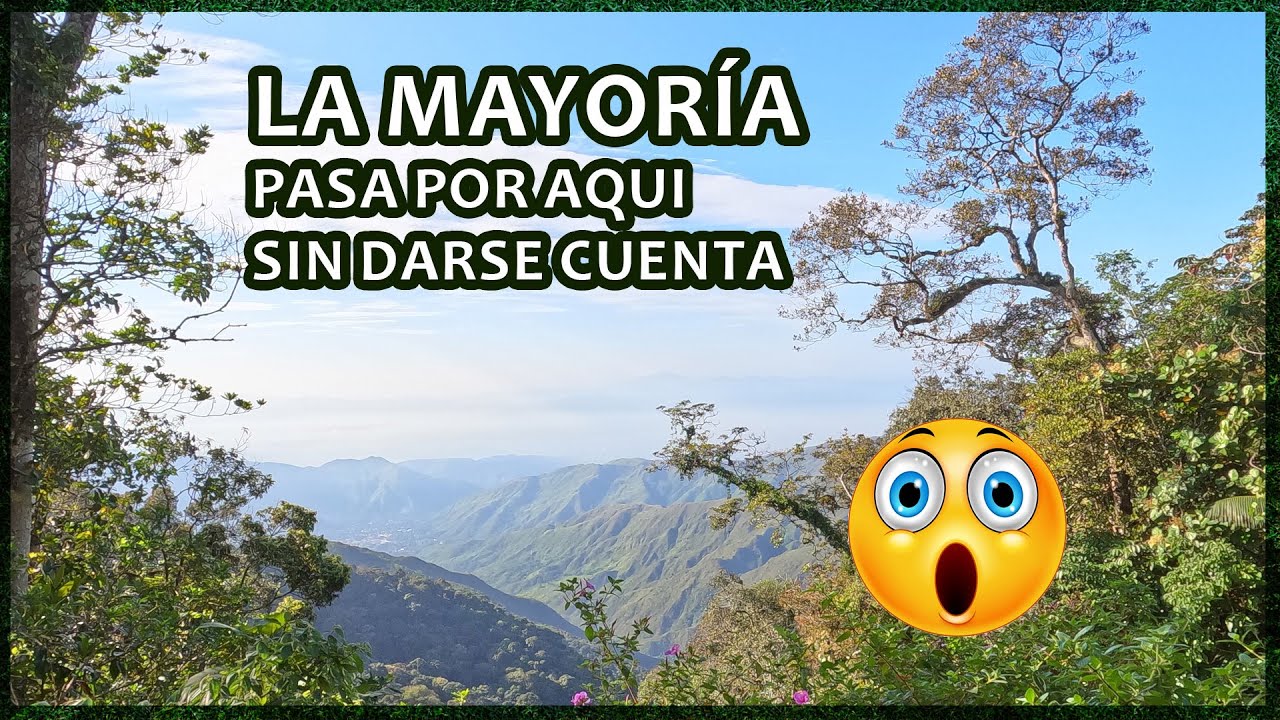 Parque Nacional Henri Pittier | Recorrido Visual por su maravillosa naturaleza 🇻🇪
