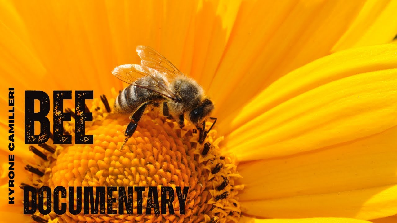 Apiculture documentary - Malta