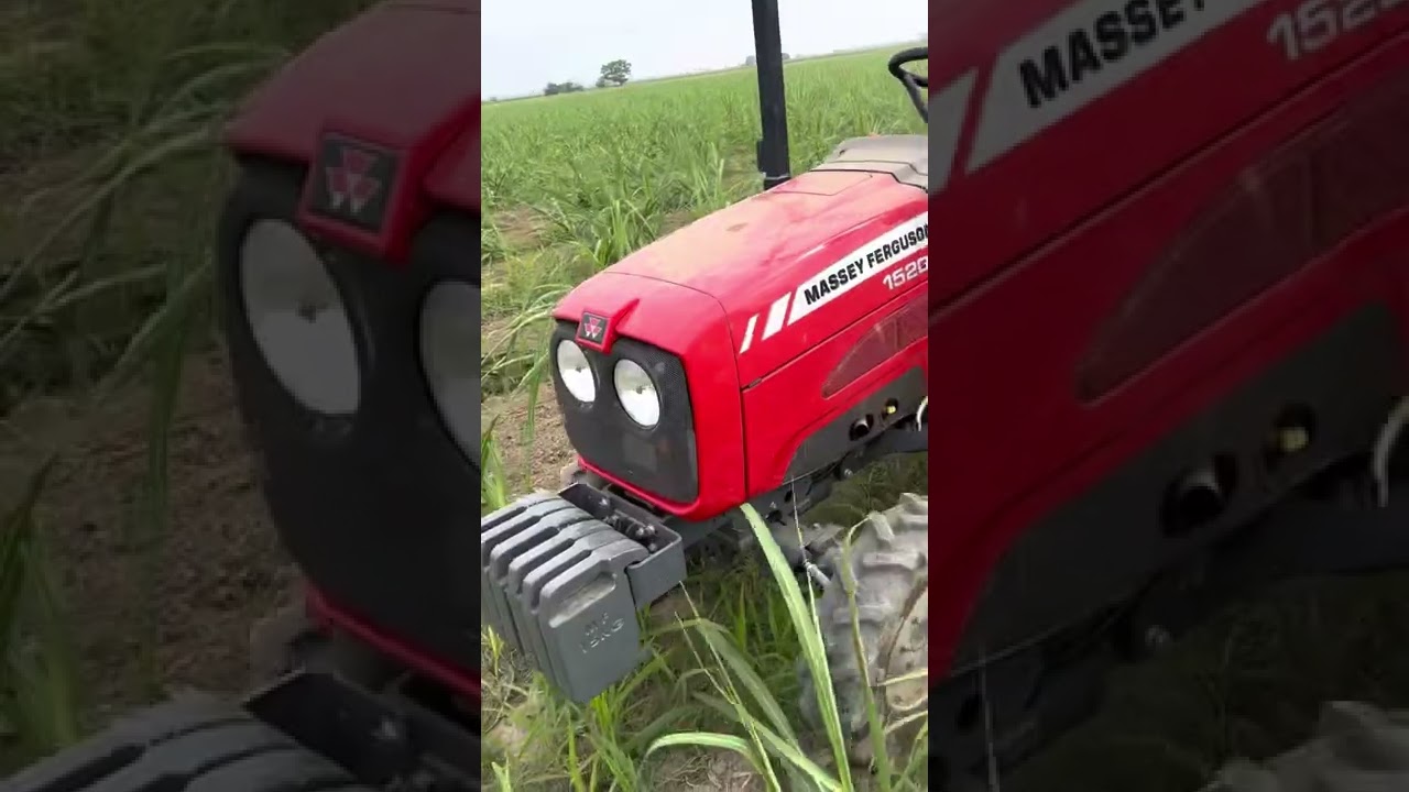 Control de malezas con tractor pequeño MF 1520