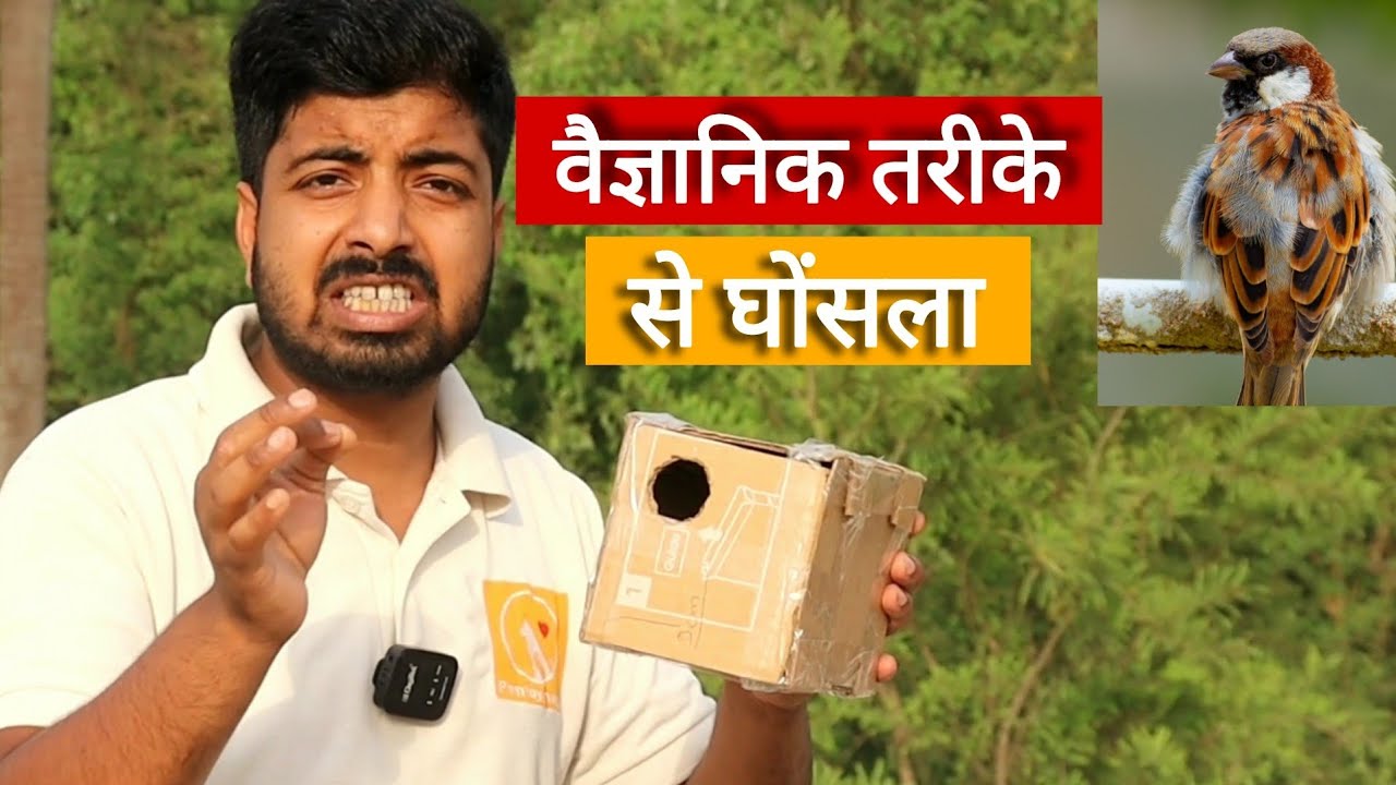Sparrow nest making idea at home. #sparrow #birdlovers #nestmaking #bird #birdrescue