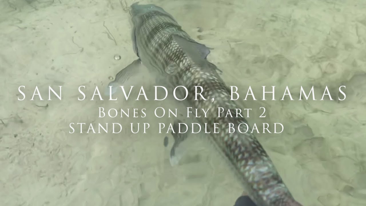 San Salvador Bonefish on fly Bahama Bonefish on fly Part 2 , Stand up Paddle Board | Fly and Fish Tv
