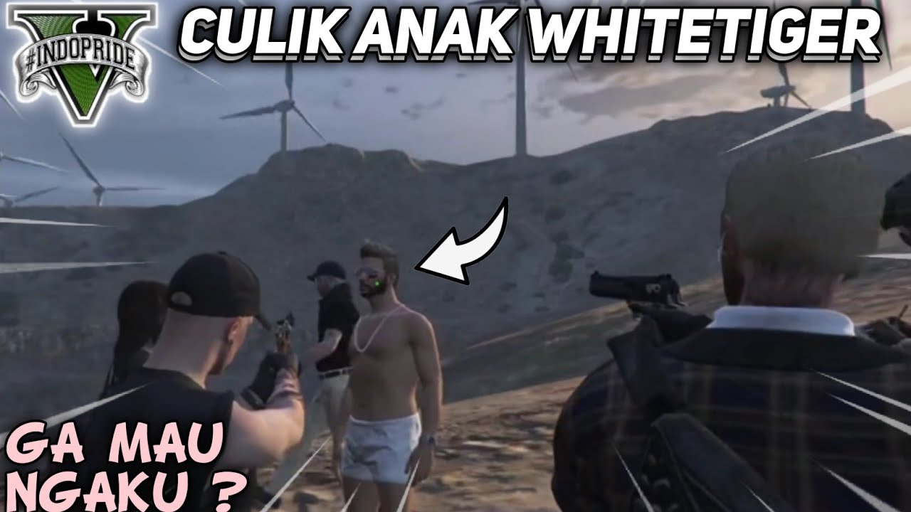 BROKER CULIK ANAK WHITETIGER- GTA V ROLEPLAY