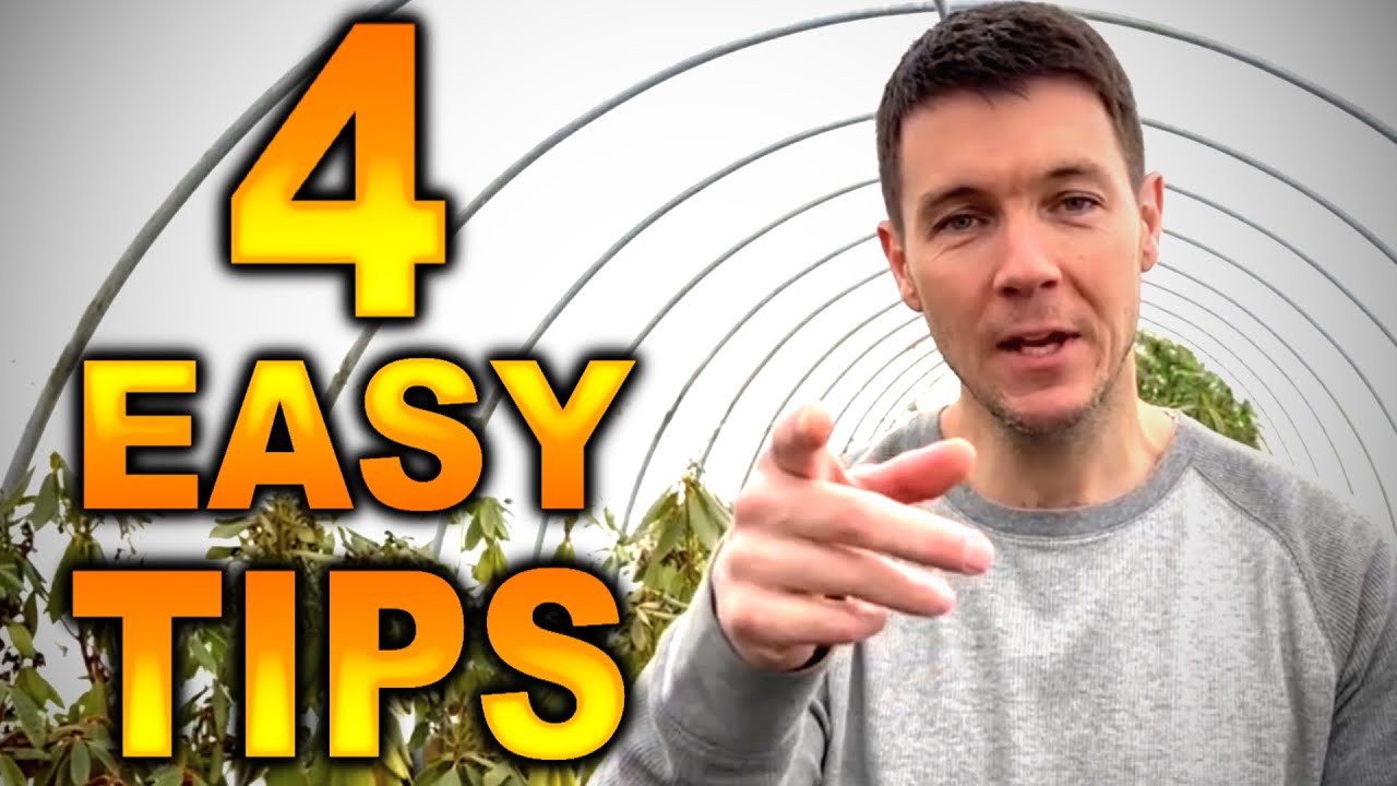 Transplanting a Tree |  HOW TO Transplant any Plant with 4 Easy Tips