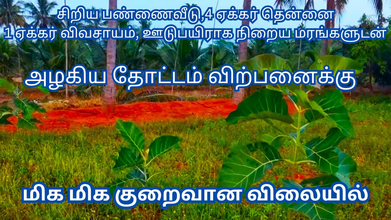 வீட்டுடன் மிக மிக குறைவான விலையில் 5 ஏக்கர் தென்னை விற்பனைக்கு