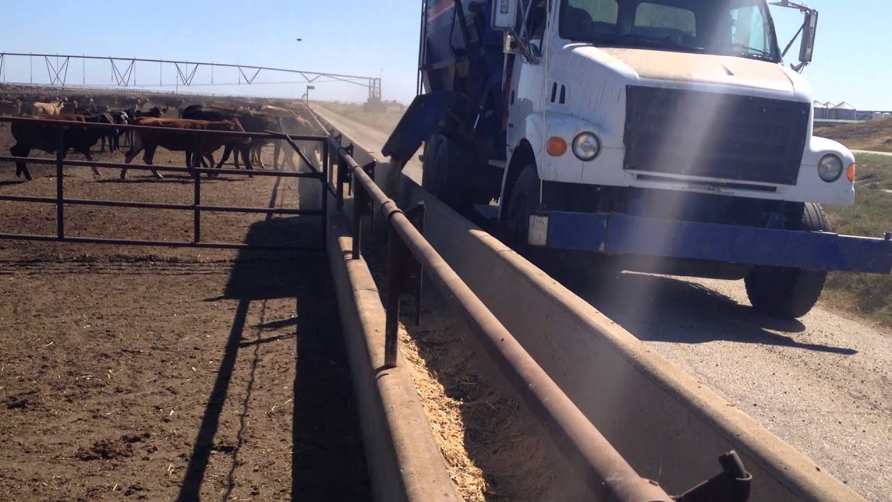 Ravensworth Feedlot and Farming The Hay Plains