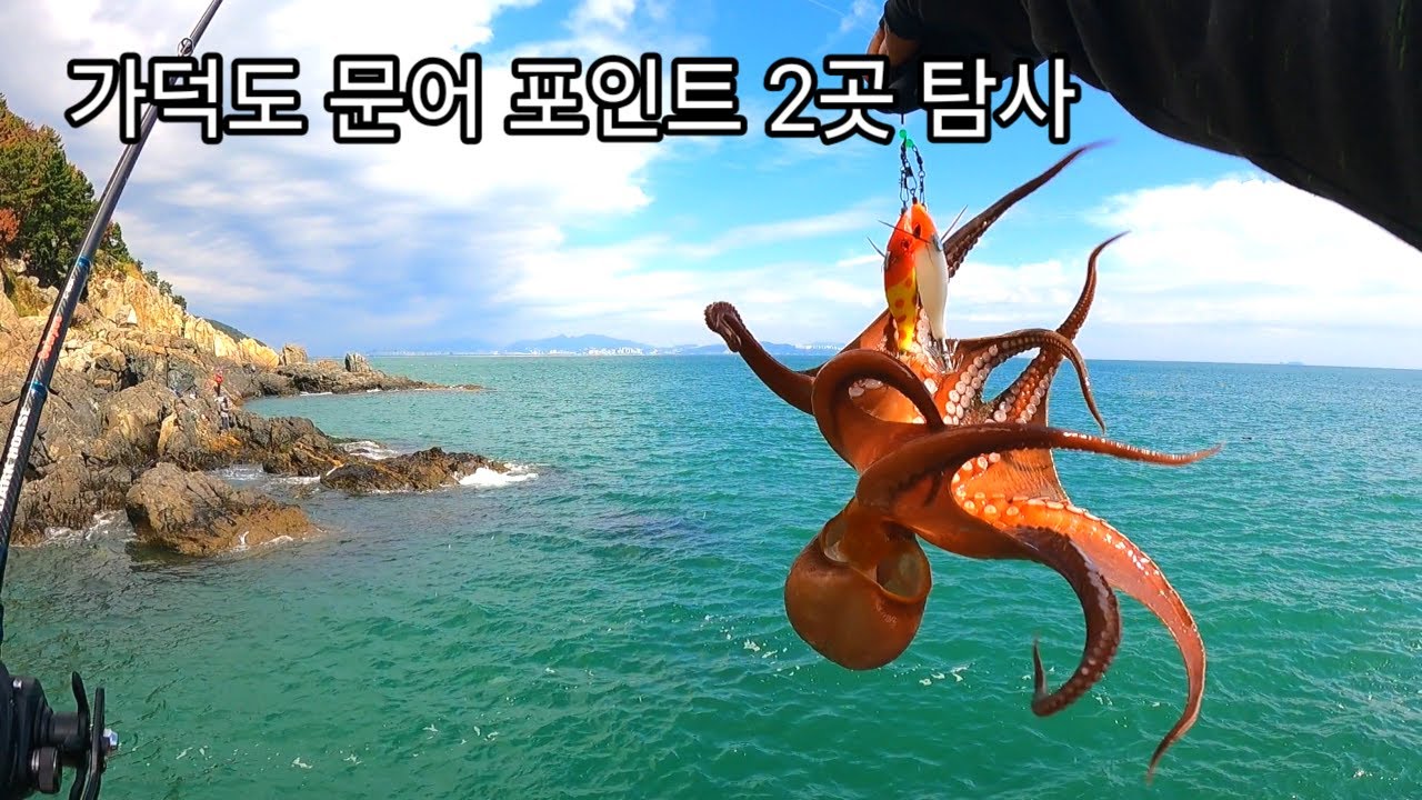 문어밭 가덕도!!  도보포인트 두곳을 탐사 해봤습니다 아직 잘 나옵니다~