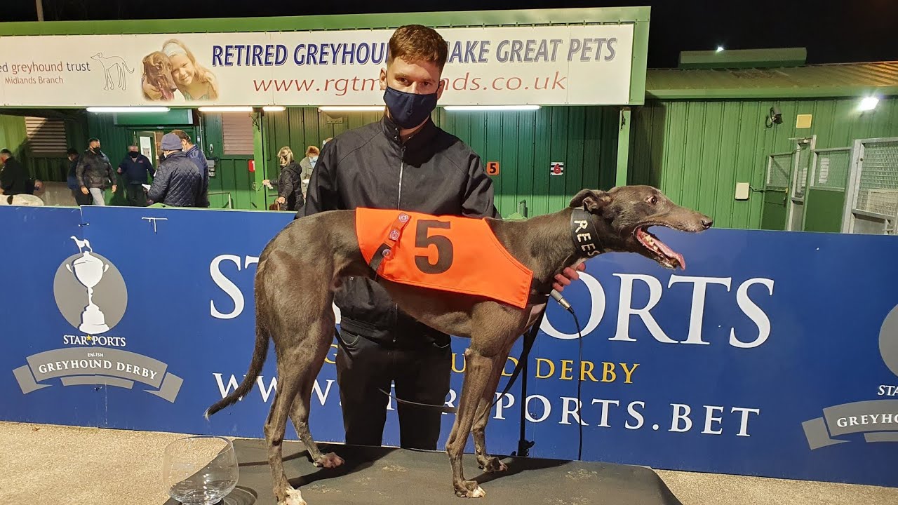 RACEDAY PREPARATIONS - GREYHOUND RACING EP.12 