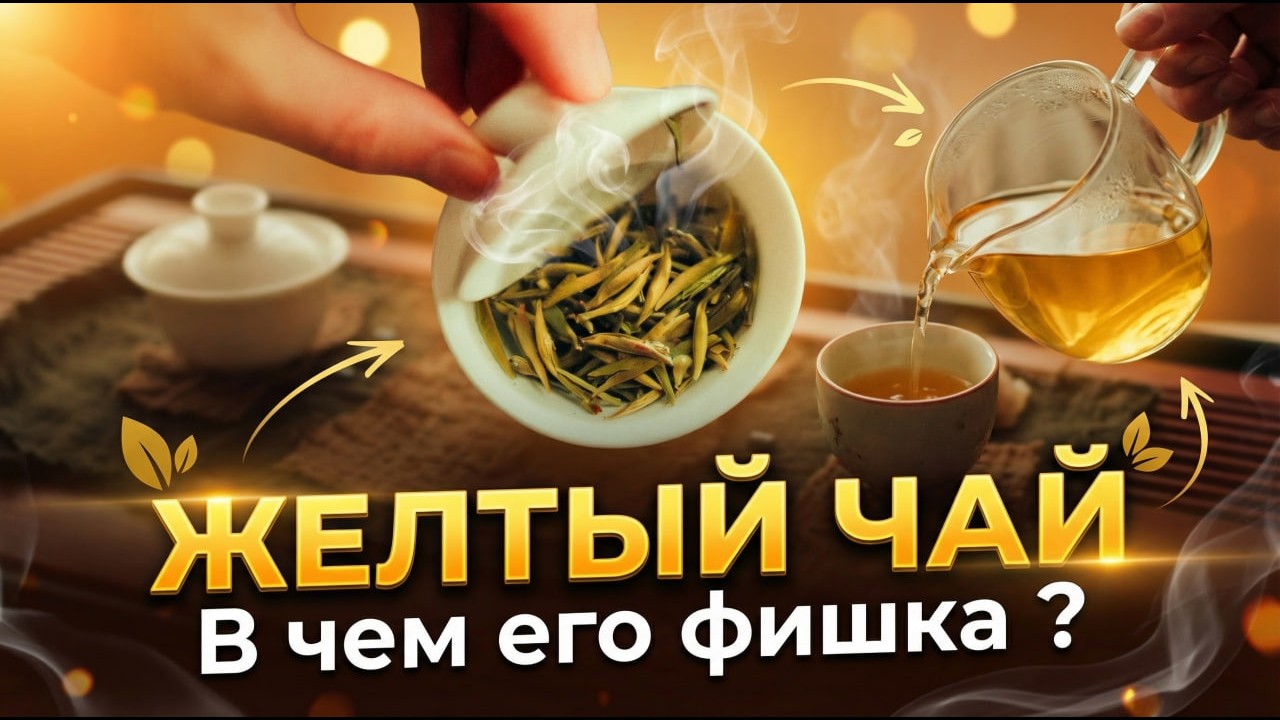 Всё, что нужно знать про желтый чай