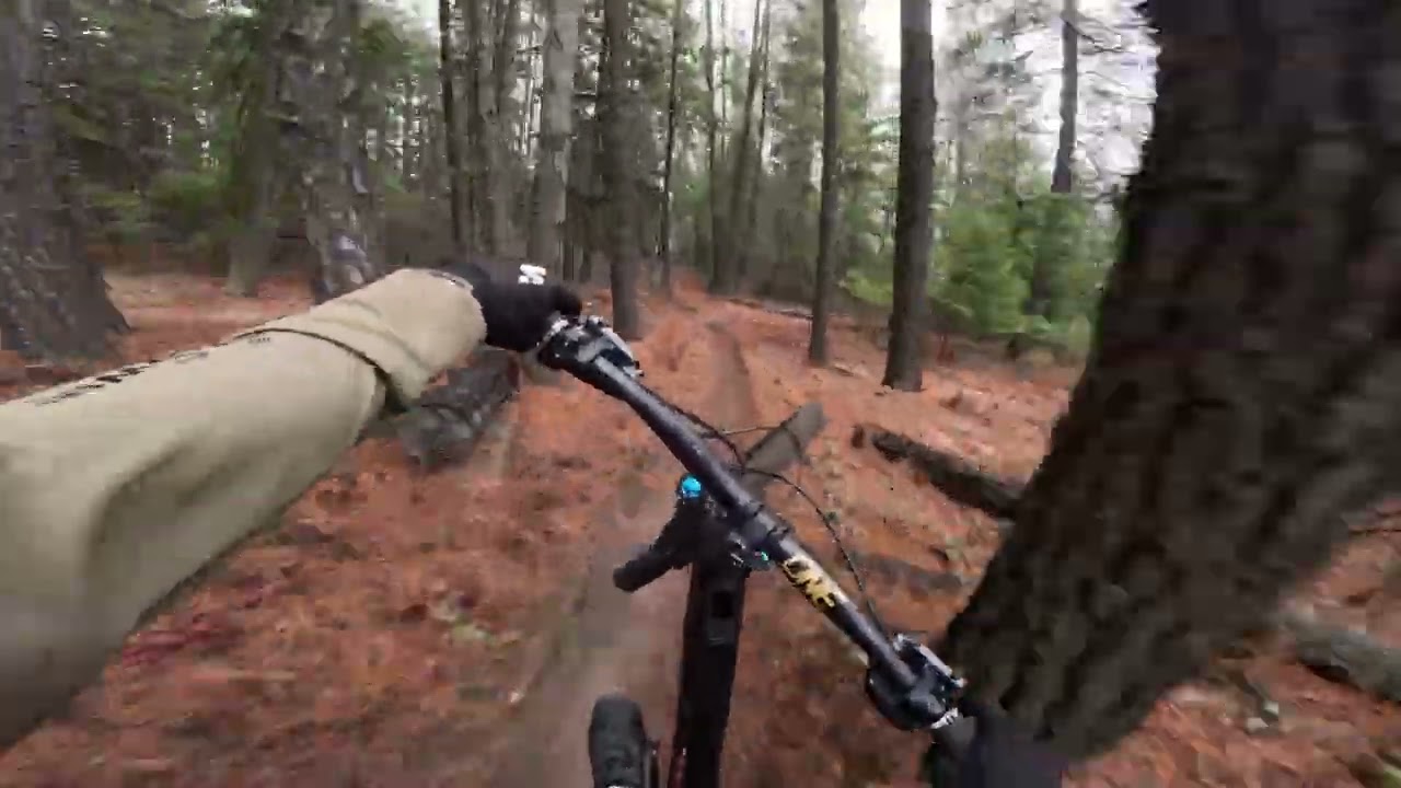 February Biking - Castlegar