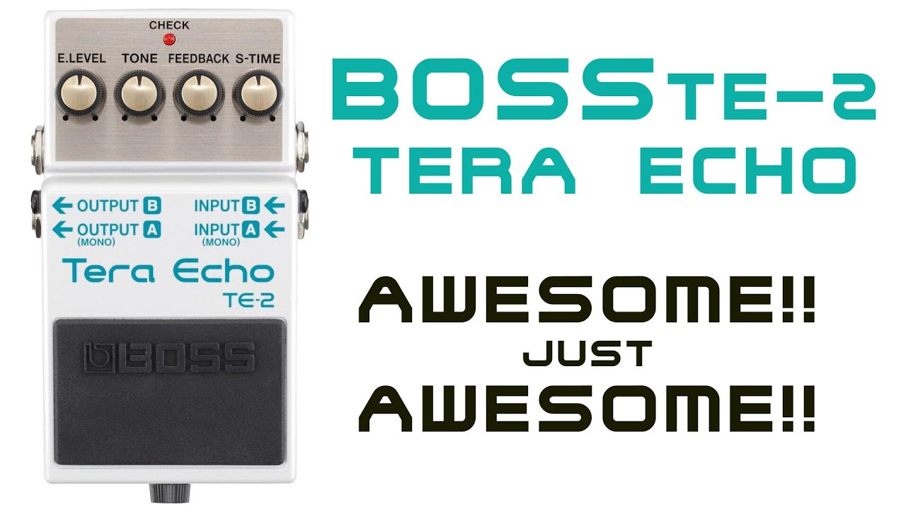 BOSS TE-2 -  Tera Echo .