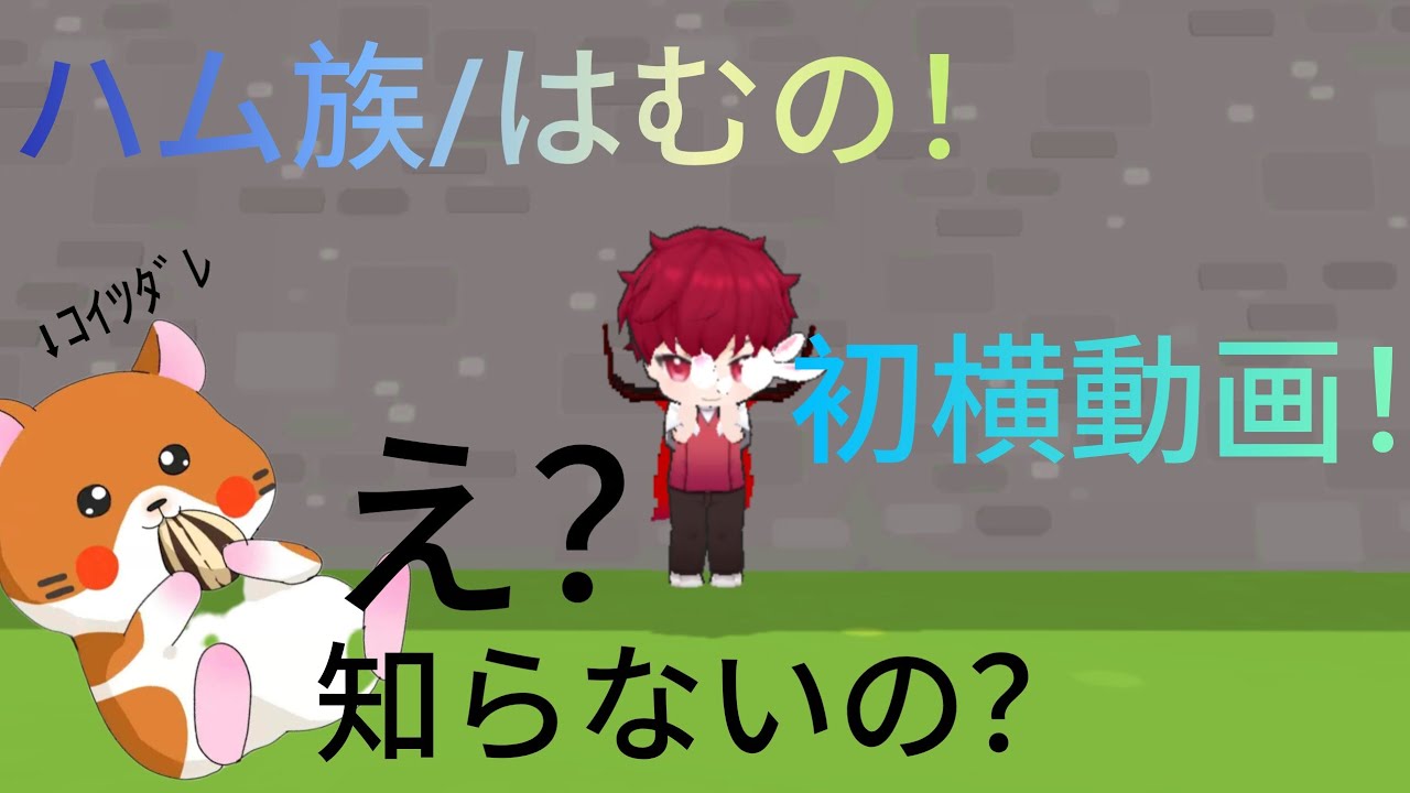 はむの初横動画！〜自己紹介とクラッチを添えて〜