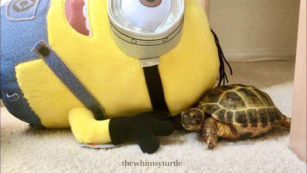 Minion Mischief