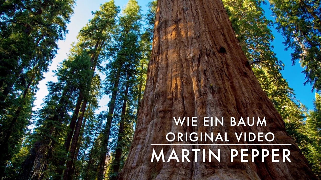 Martin Pepper | Gesegnet | Wie ein Baum | Original Video