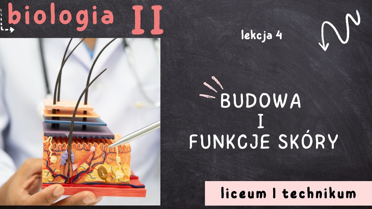 Biologia 2 LO [Lekcja 4: Budowa i funkcje skóry]
