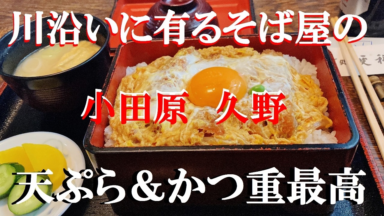 NEW 小田原ぶらり旅★雪降った次の日は路面滑るから気を付けて散歩～川沿いに有るお蕎麦屋さんのカツ中が凄い【更科】【サイゼリヤ】