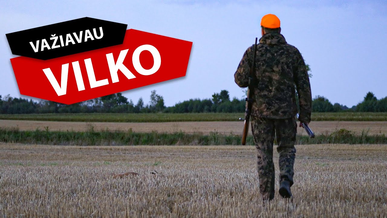 Važiavau vilko ir grįžau ne tu&scaron;čiomis