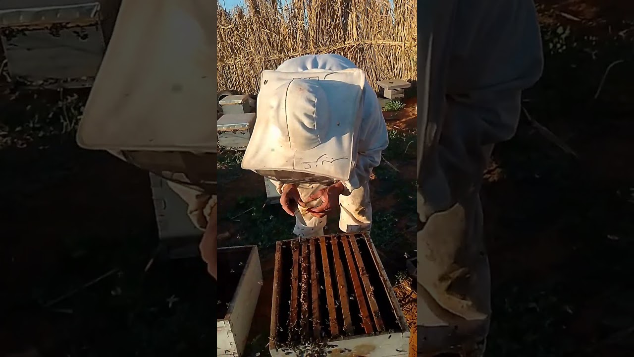 كيفية نزع طرد من صندوق الأم