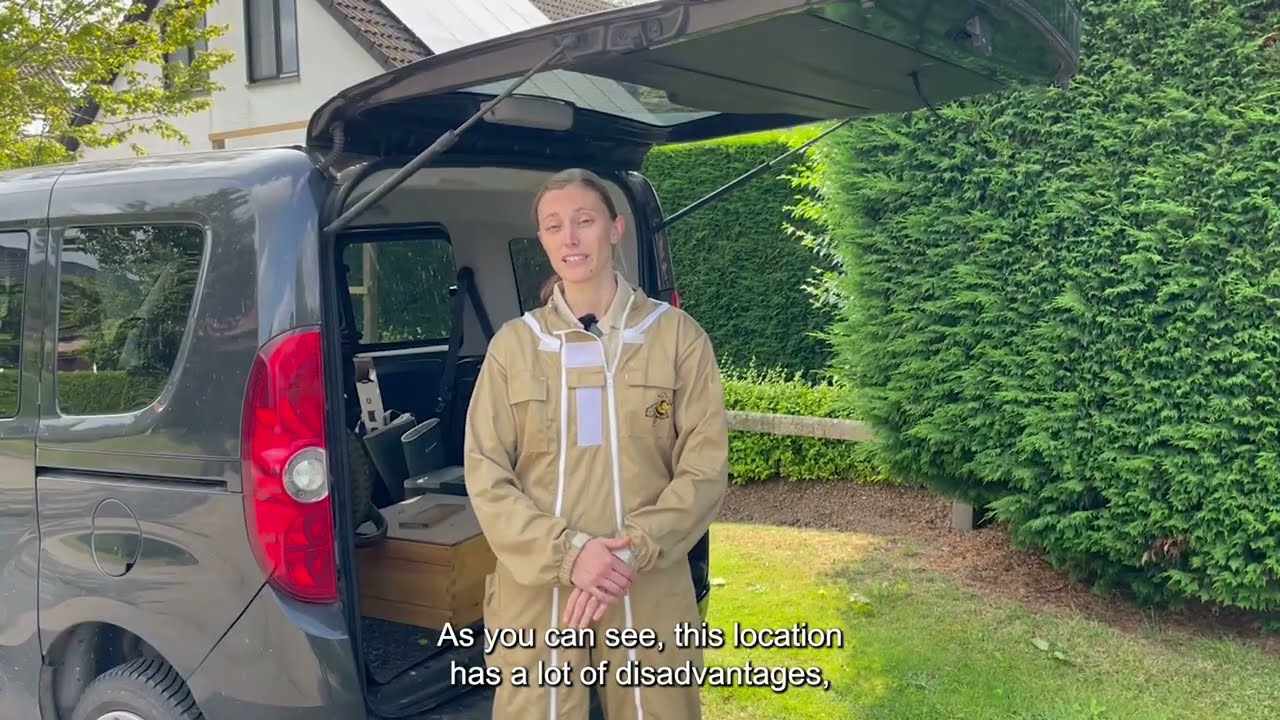 Setting Up Your Apiary: Tips for Vehicle-Accessible Locations | Kit for Beekeepers