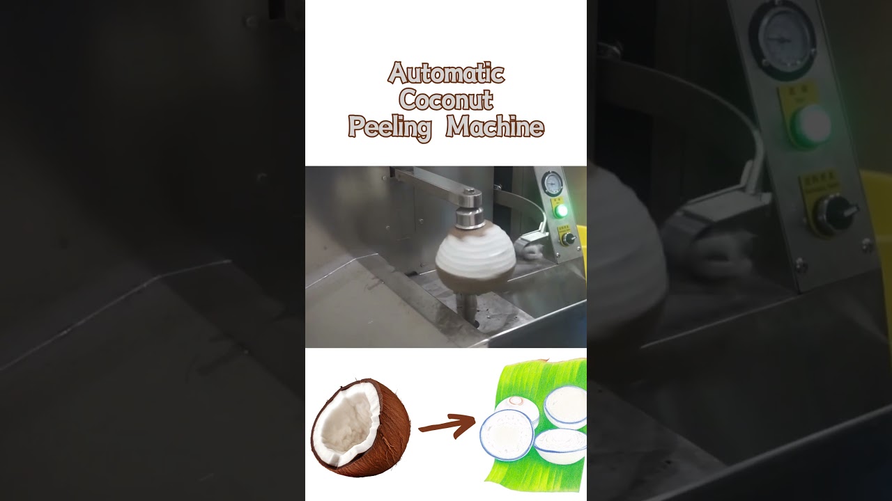 Automatic Coconut Peeling Machine - Coconut Brown Skin Removing | Coconut Testa Peeler