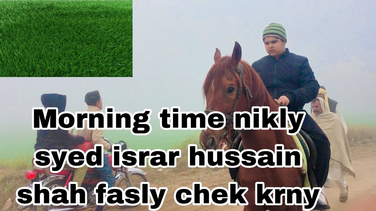 Morning Time Riding best Rider Syed israr hussain shah QUTBIA ABRAR CLUB ￼