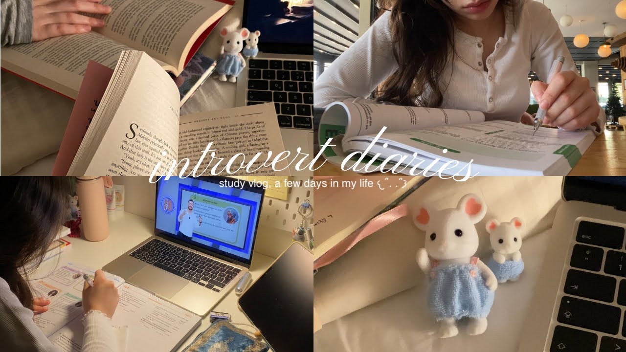 introvert diaries: ep.04 𐔌՞. .՞𐦯 study vlog